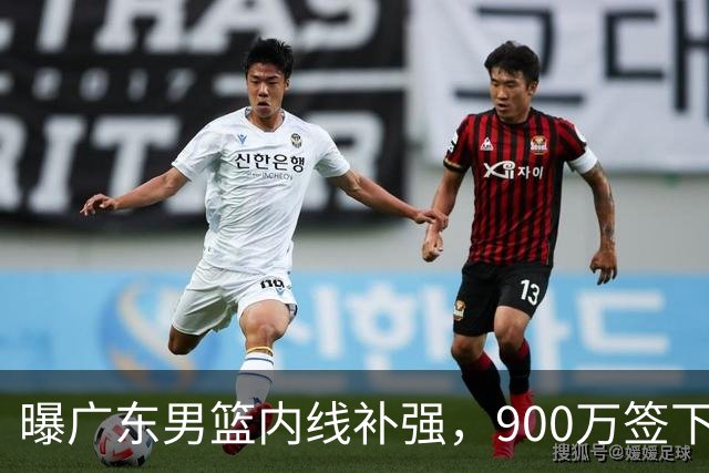 曝广东男篮内线补强，900万签下季后赛场均6.5分悍将，朱芳雨又现神操作